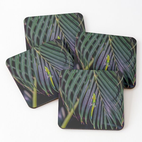 Item preview, Hidden Gecko At Night designed and sold by George Buckley.