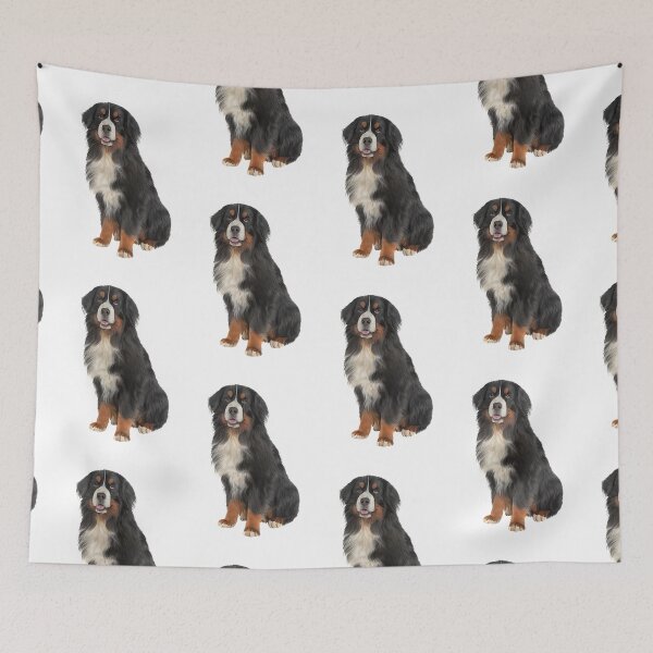 Item preview, Bernese Mountain Dog. Drawing, illustration funny dog designed and sold by bonidog.