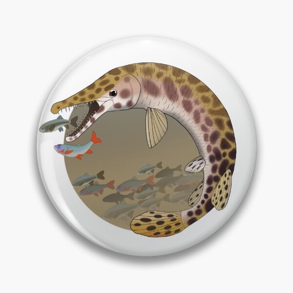 Item preview, Spotted Gar and Red Shiners designed and sold by Joe Hernandez.