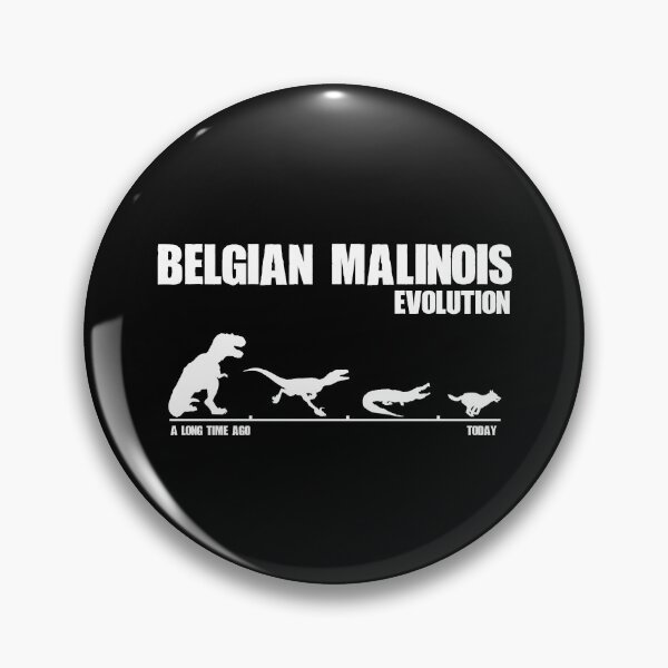 Item preview, Belgian Malinois Evolution Dinosaur Maliraptor Maligator Gift designed and sold by Guarddogdrive.