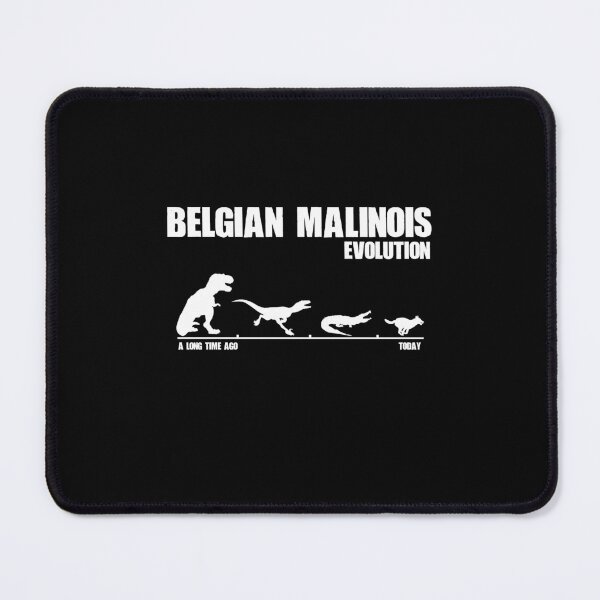 Item preview, Belgian Malinois Evolution Dinosaur Maliraptor Maligator Gift designed and sold by Guarddogdrive.