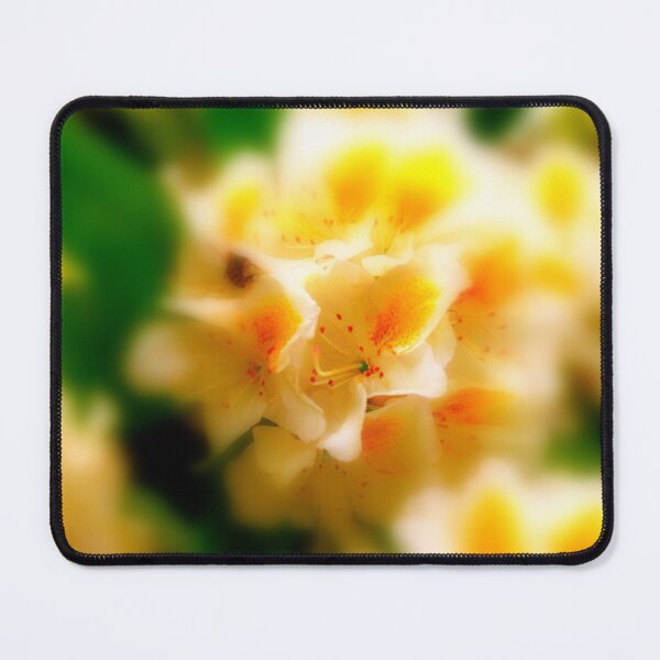 Item preview, nature´s art designed and sold by Tereza Pilar Art.