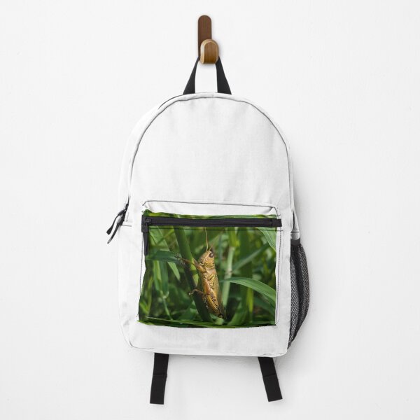Item preview, American Bird Grasshopper on a leaf designed and sold by Bug Shots.