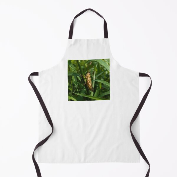 Item preview, American Bird Grasshopper on a leaf designed and sold by Bug Shots.