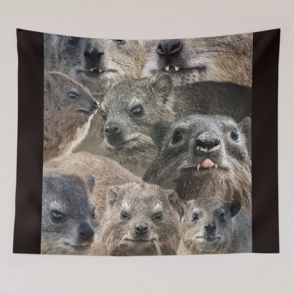 Item preview, A LOT of Rock Hyrax here designed and sold by mrhyrax.