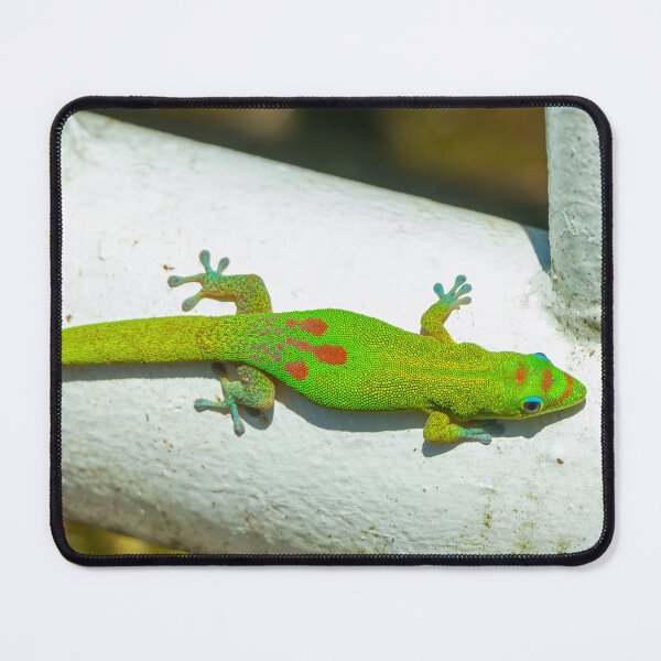 Item preview, Colorful Gecko Lounges in the Sun designed and sold by SafariByMarisa.