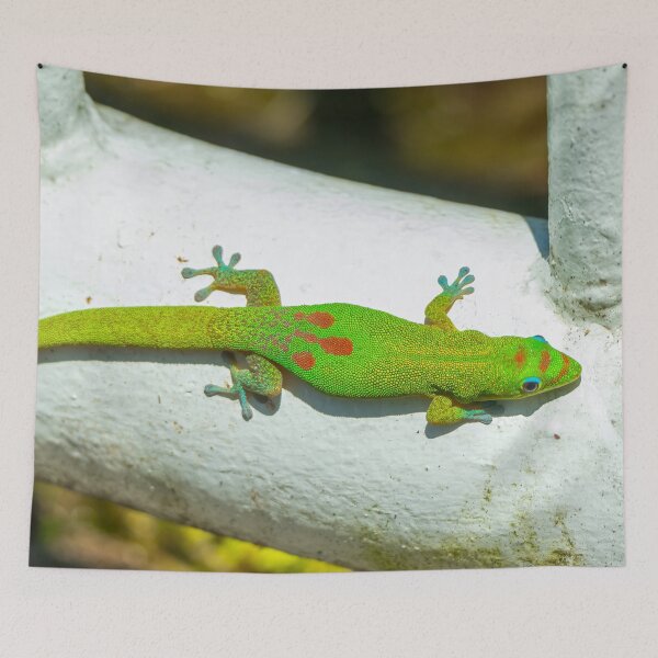 Item preview, Colorful Gecko Lounges in the Sun designed and sold by SafariByMarisa.