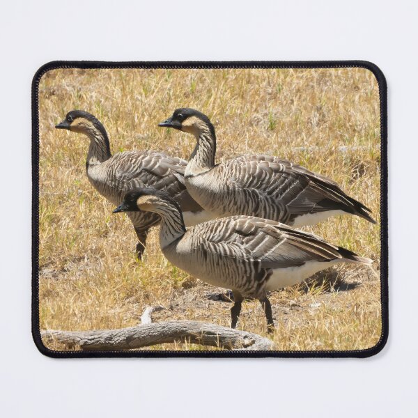 Item preview, Nene, Hawaiian Geese on Field designed and sold by SafariByMarisa.