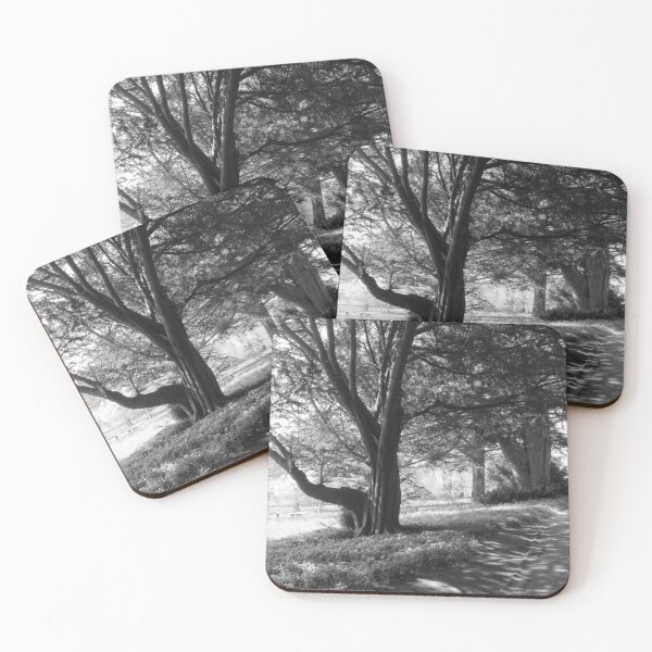 Item preview, The Path Through The Trees - Black and White designed and sold by lezvee.