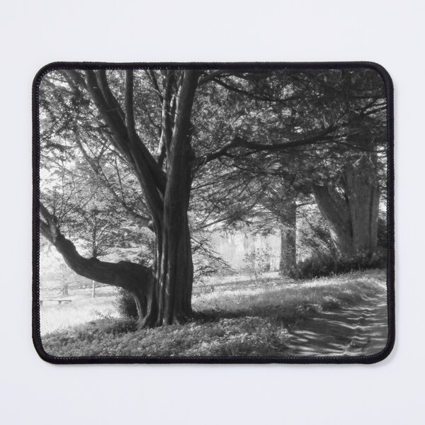 Item preview, The Path Through The Trees - Black and White designed and sold by lezvee.