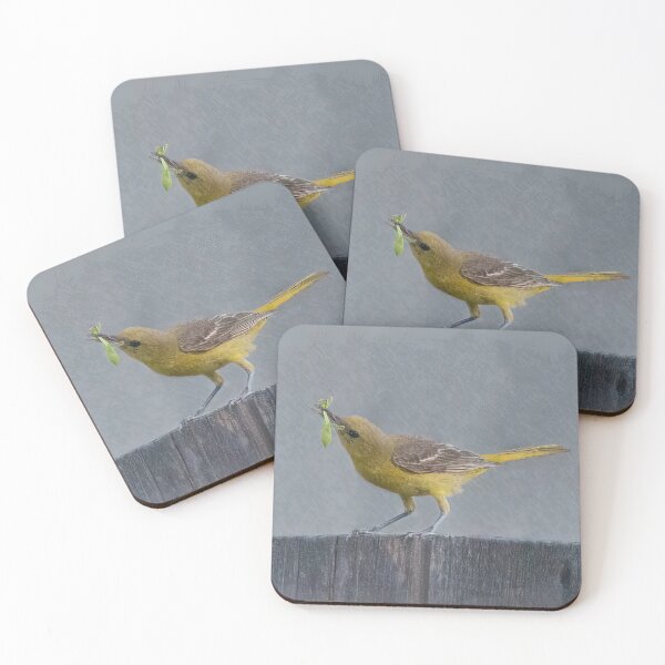 Item preview, Oriole With a Goodie designed and sold by CarolM.