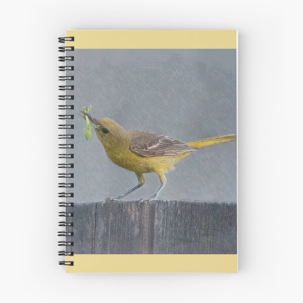 Item preview, Oriole With a Goodie designed and sold by CarolM.