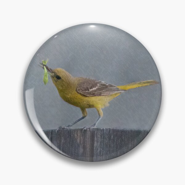 Item preview, Oriole With a Goodie designed and sold by CarolM.