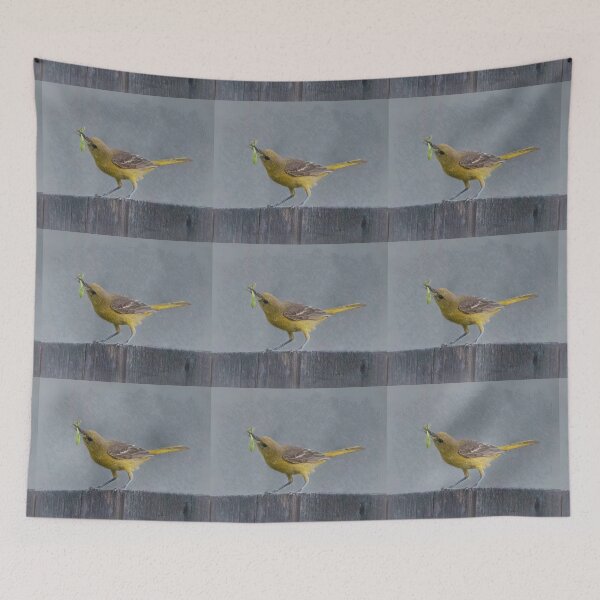 Item preview, Oriole With a Goodie designed and sold by CarolM.