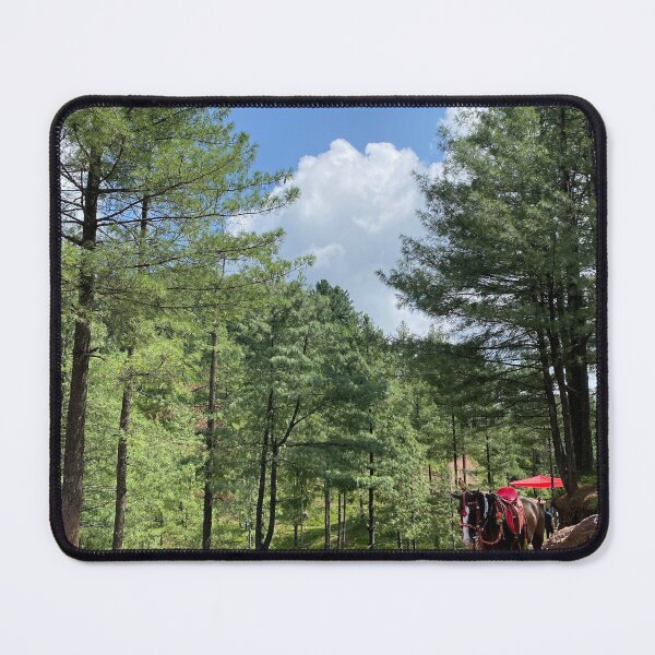 Item preview, A beautiful picture captured in Kashmir designed and sold by VillainSpot.
