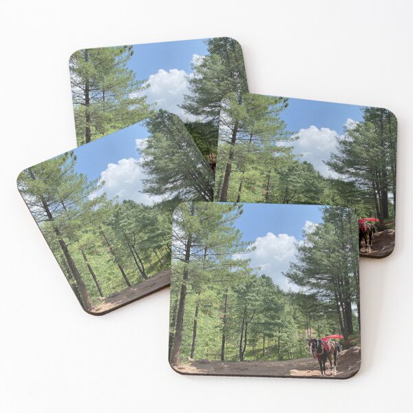 Item preview, A beautiful picture captured in Kashmir designed and sold by VillainSpot.