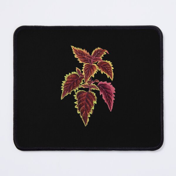Item preview, Pink Coleus designed and sold by VintageArtByIda.