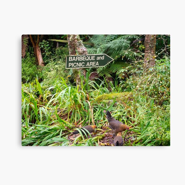 Item preview, Barbeque And Picnic Area Sign designed and sold by Michael McGimpsey.