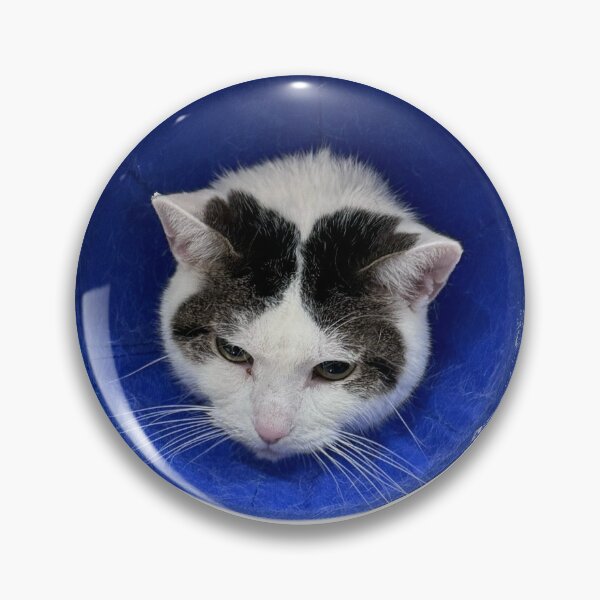 Item preview, cone of shame designed and sold by Jelly-The-Bean.