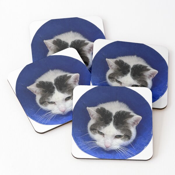 Item preview, cone of shame designed and sold by Jelly-The-Bean.
