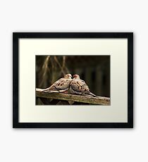 Beak To Beak Framed Print
