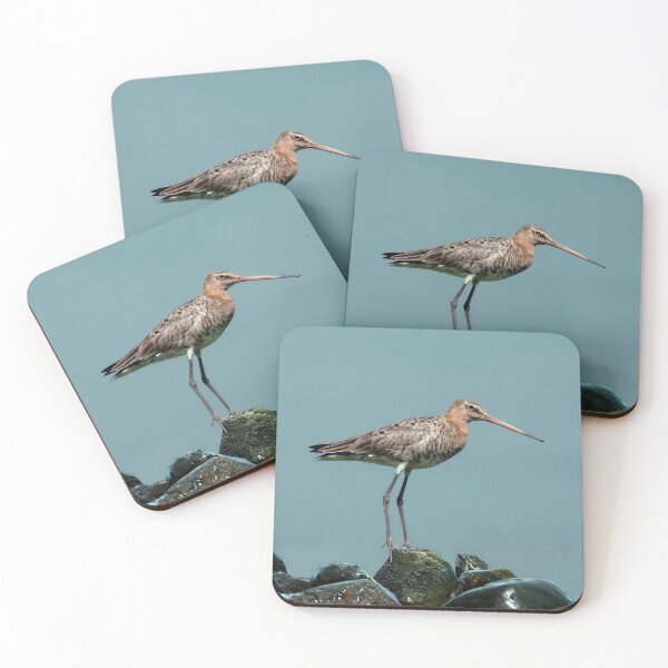 Item preview, The black-tailed godwit designed and sold by Tom McPherson Photography.