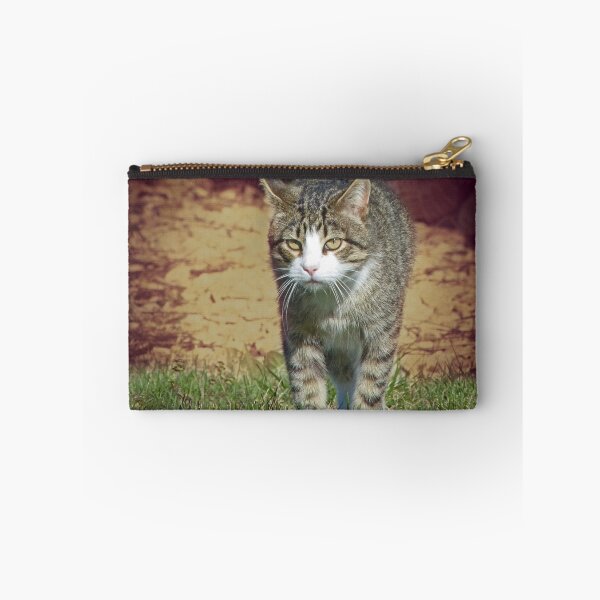 Item preview, TJ on the Prowl designed and sold by Frankie Cat Photography.