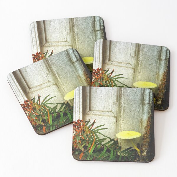 Item preview, Fungal Secrets designed and sold by XXX Zombieboy XXX.