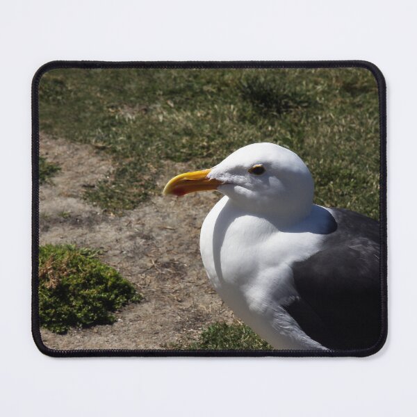 Item preview, I Am Ready For My Close-Up designed and sold by heatherfriedman.