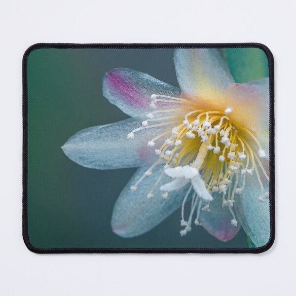 Item preview, Bloom designed and sold by TedmBinegas.