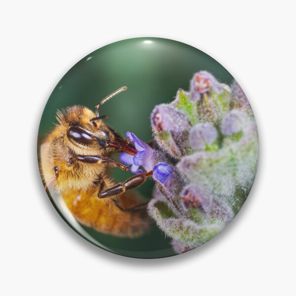 Item preview, Pollination designed and sold by TedmBinegas.