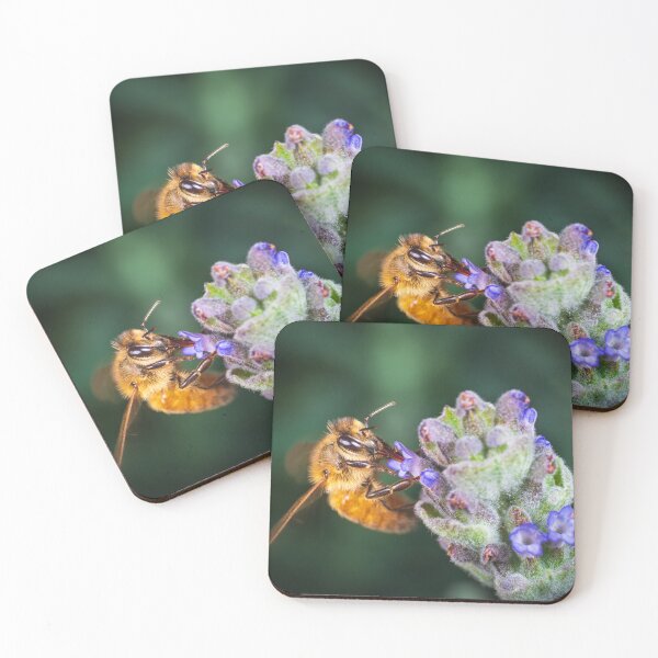 Item preview, Pollination designed and sold by TedmBinegas.