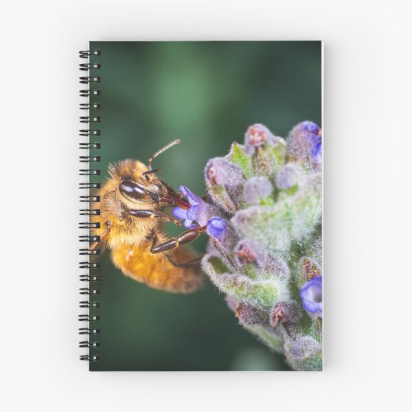 Item preview, Pollination designed and sold by TedmBinegas.