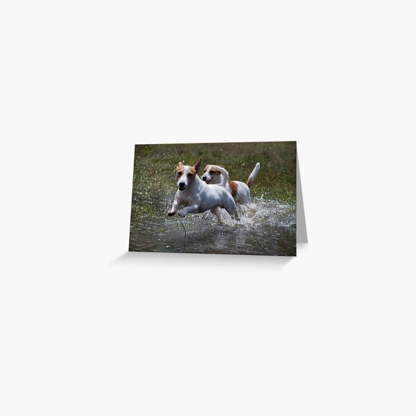 "Catch Me if You Can" Greeting Card