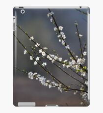 Spring blossoms iPad Case/Skin