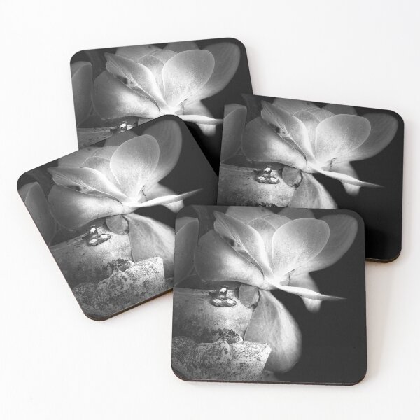 Item preview, Moonflower designed and sold by Casitaluna.