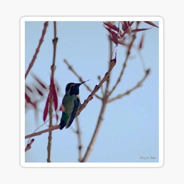 Green Hummingbird Red Vine Sticker