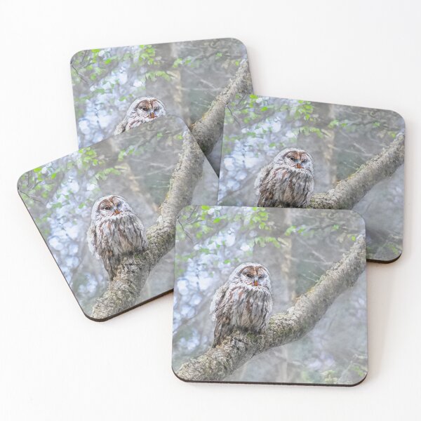 Item preview, Majestic Owl on Tree Limb designed and sold by burbankdesigns.