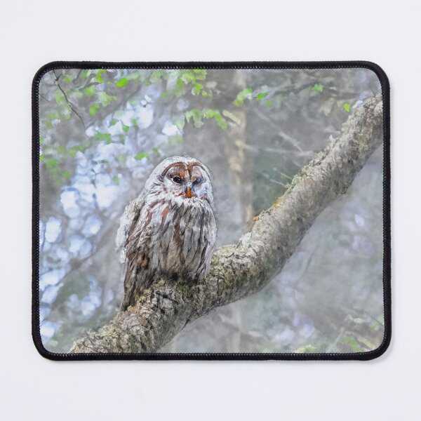 Item preview, Majestic Owl on Tree Limb designed and sold by burbankdesigns.