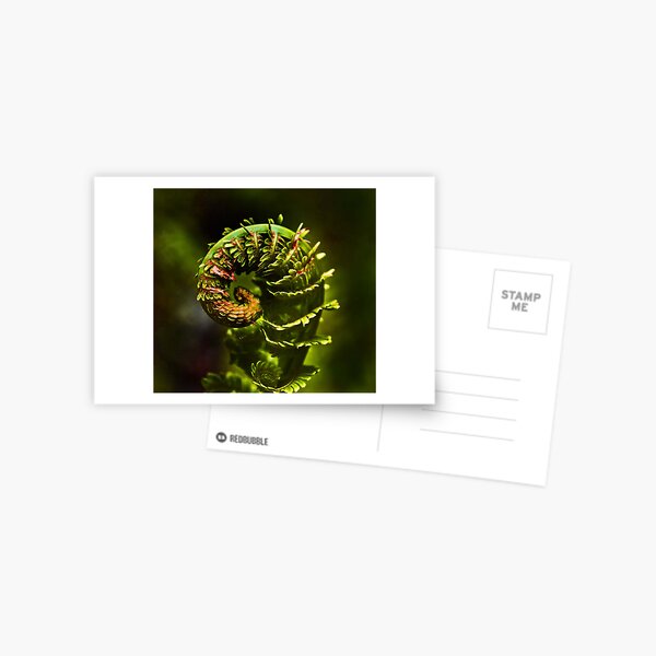 Item preview, fern unfurling designed and sold by lastgasp.