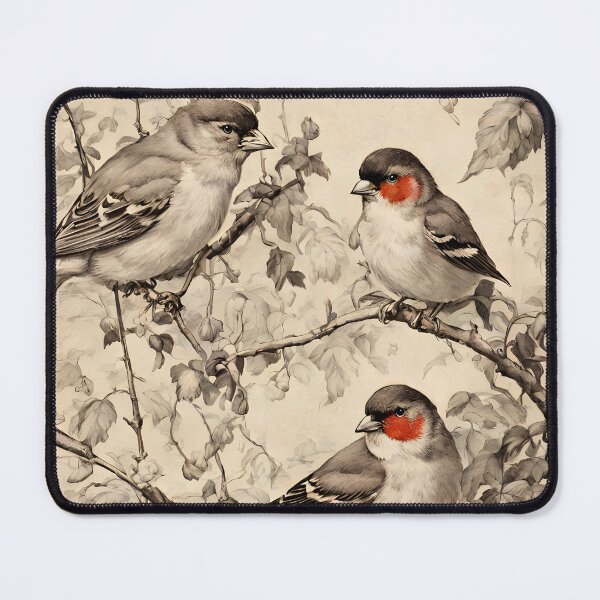 Item preview, VINTAGE FINCH BIRDS ~ English Garden ~ Retro Black & White ~ Bird Lovers Art Gift Art Poster Print designed and sold by Spinning Plates 360.