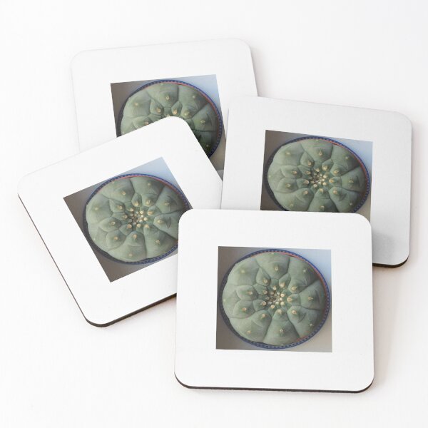 Item preview, Peyotle Lophophora Wiliamsi designed and sold by Ratatatts.