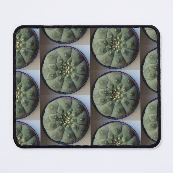 Item preview, Peyotle Lophophora Wiliamsi designed and sold by Ratatatts.