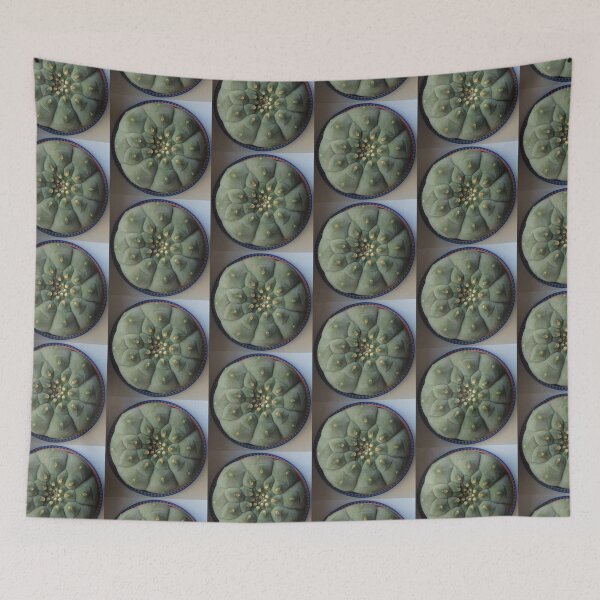 Item preview, Peyotle Lophophora Wiliamsi designed and sold by Ratatatts.
