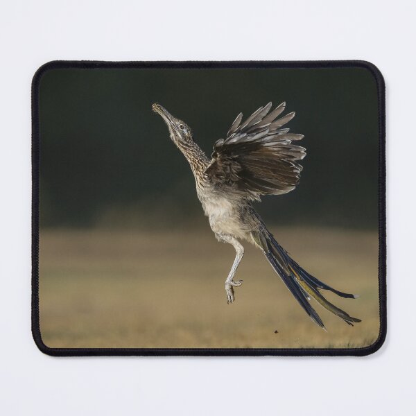 Item preview, Leaping to feed designed and sold by Puttaswamy Ravishankar.