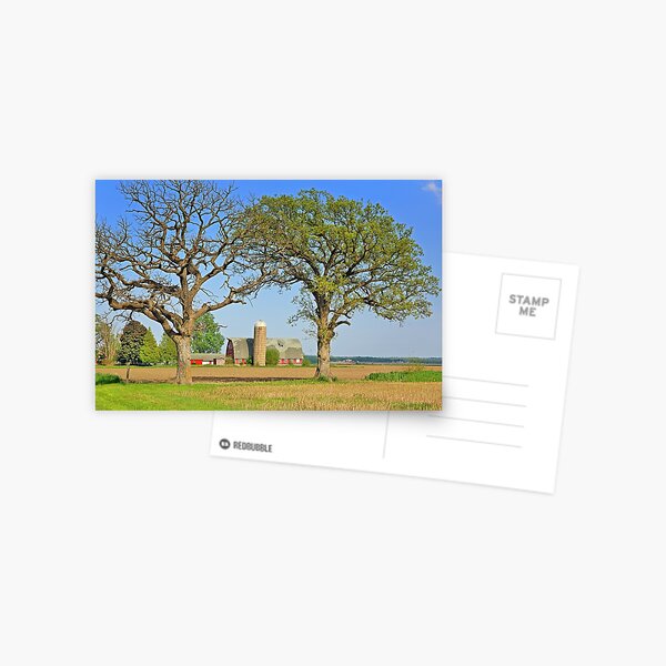 Farmland in May Postcard