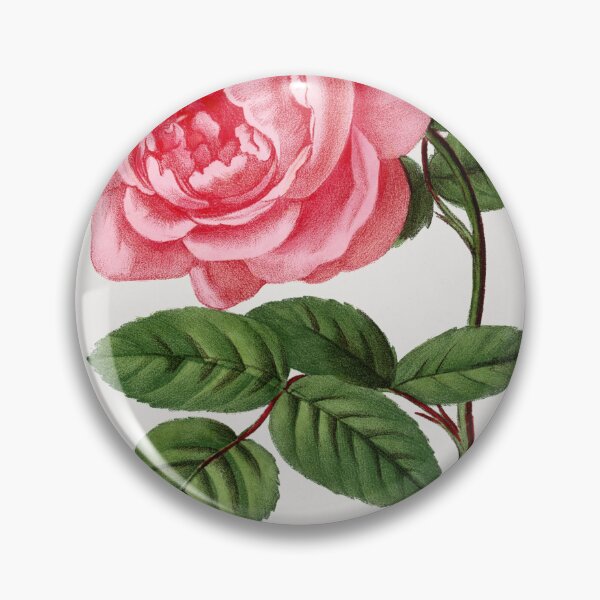 Item preview, Vintage Rose Illustration - Celina Noirey by Grobon designed and sold by supeart.