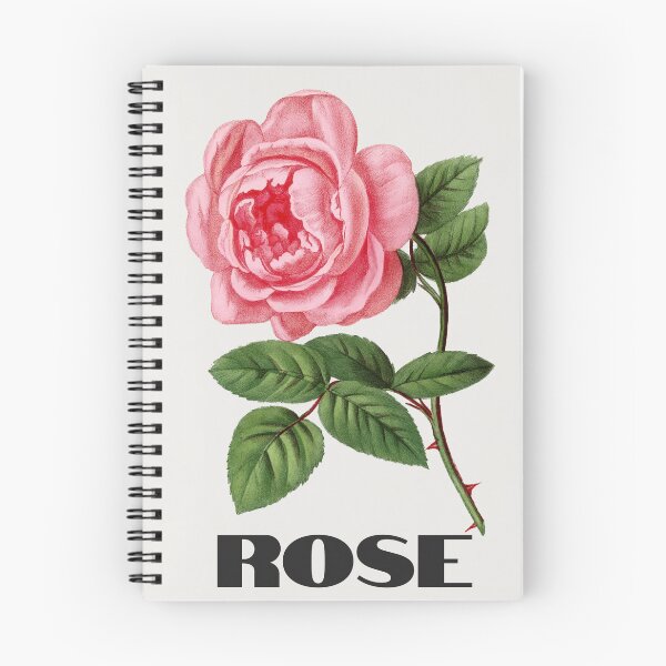 Item preview, Vintage Rose Illustration - Celina Noirey by Grobon designed and sold by supeart.