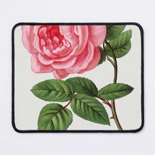Item preview, Vintage Rose Illustration - Celina Noirey by Grobon designed and sold by supeart.