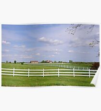 Rows of White Picket Fences Poster